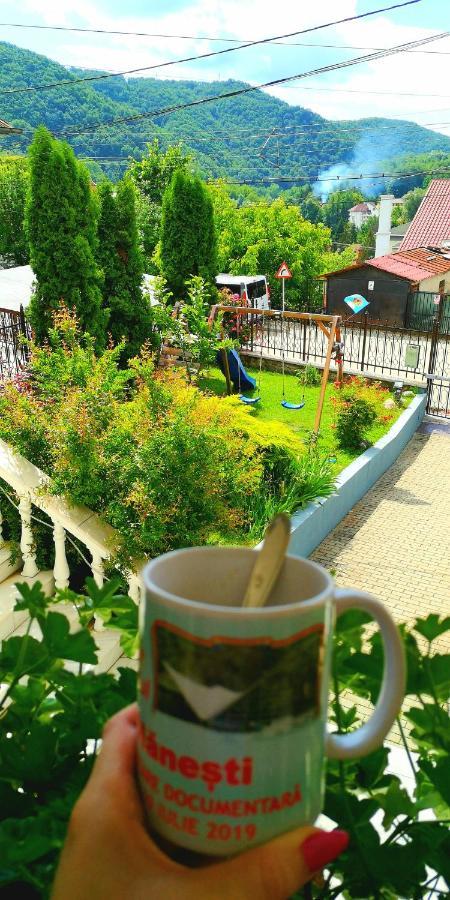 Hotel Casa Giulia à Băile Olăneşti Extérieur photo