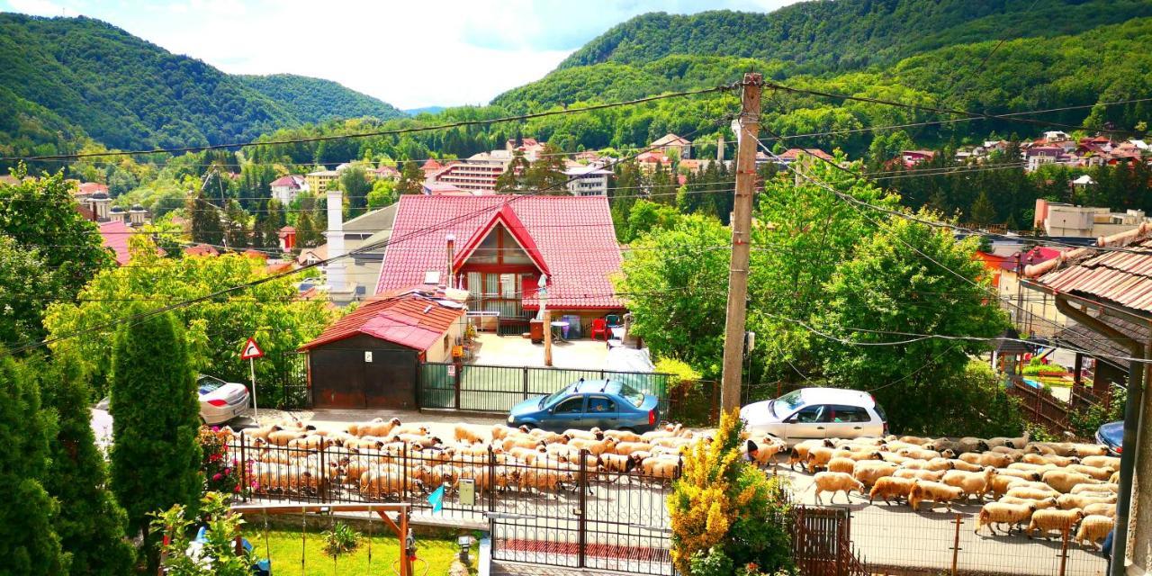 Hotel Casa Giulia à Băile Olăneşti Extérieur photo